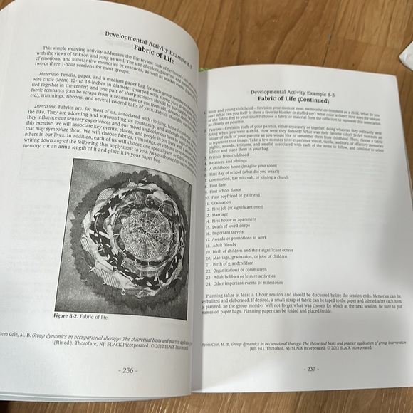 Group Dynamics in Occupational Therapy - Picture 2 of 3